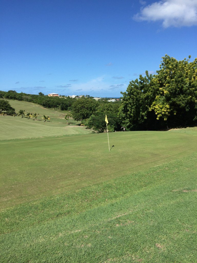 The view from behind the 3rd green at Cedar Valley